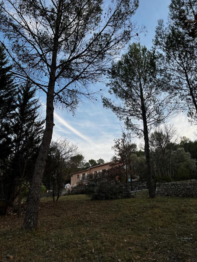 Natur & Jasmin Chambres D'Hotes Naturistes En Provence Lorgues Zewnętrze zdjęcie