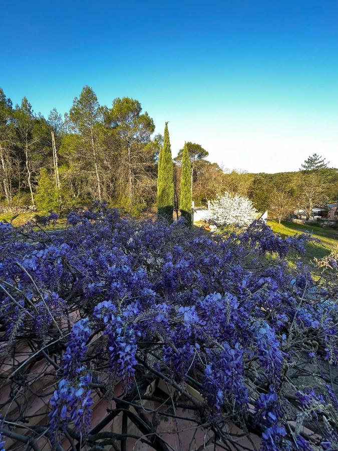 Natur & Jasmin Chambres D'Hotes Naturistes En Provence Lorgues Zewnętrze zdjęcie