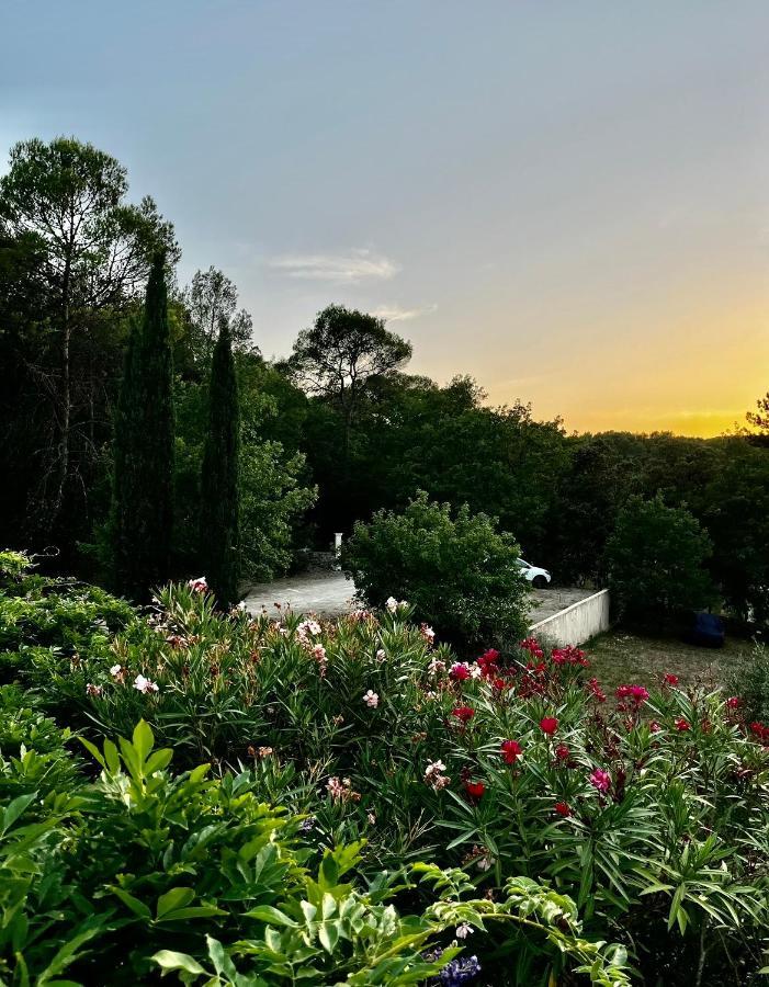 Natur & Jasmin Chambres D'Hotes Naturistes En Provence Lorgues Zewnętrze zdjęcie