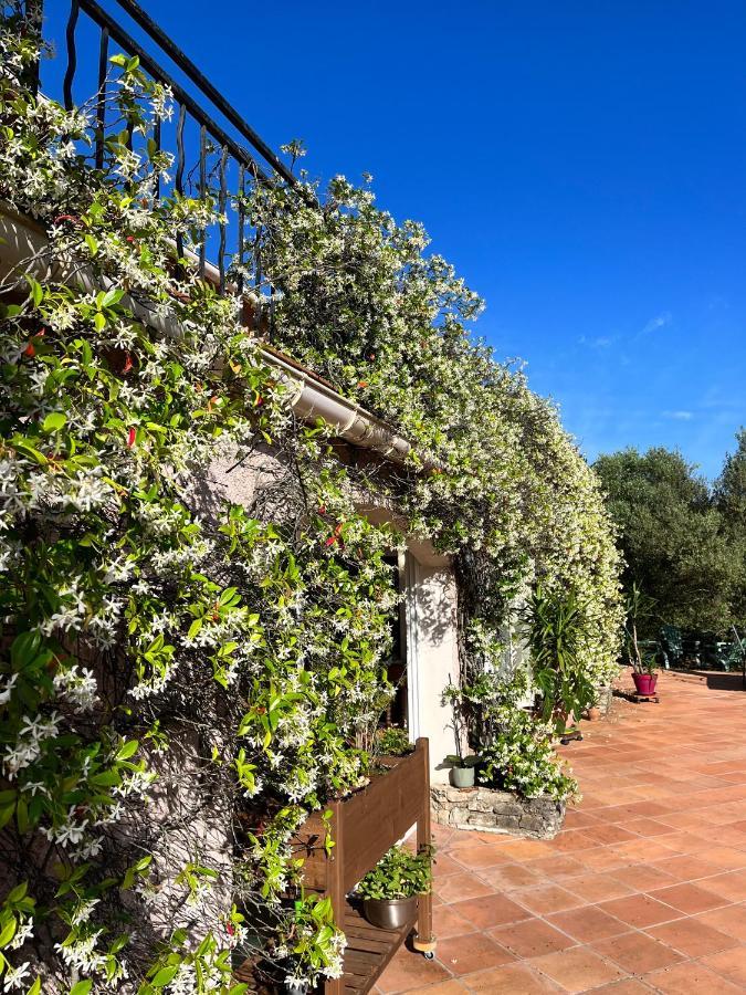Natur & Jasmin Chambres D'Hotes Naturistes En Provence Lorgues Zewnętrze zdjęcie